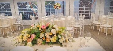 Iznajmljivanje rashladnih vitrina i hladnjača 060- — 9