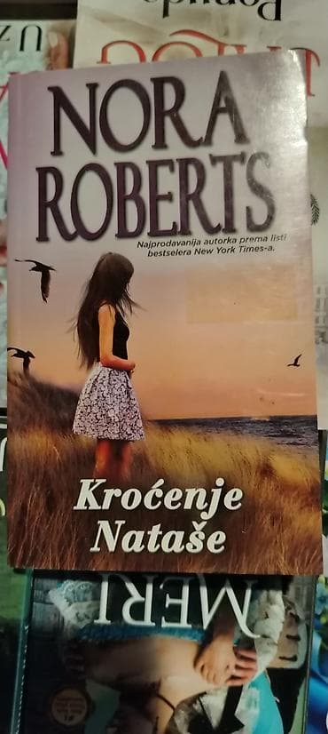 polovne skije i pancerice: Polovna beletristika i klasici – razni naslovi od 200 do 300 rsd - — 4