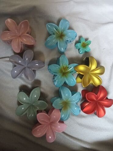 apple beograd: Hairclip, color - Multicolored — 1