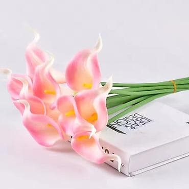 Ureznice: Vestacke kale
10kom- 1400 din — 4