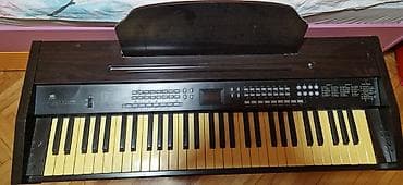zvucnik i mikrofon: Električni klavir. 6000 din — 6