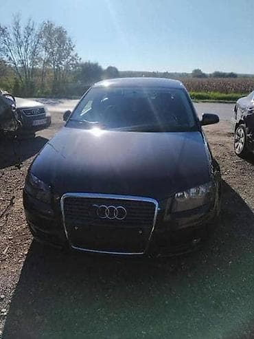 auto crni leskovac: LIMARIJA MEHANIKA ENTERIJER ZA AUDI A3 OD 2003. DO 2008. GOD. | AUDI — 2