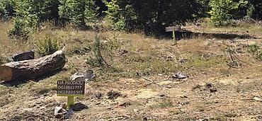 soba: Na prodaju plac 11.3 ari na Zlatiboru pored asfaltnog puta udaljenosti — 6