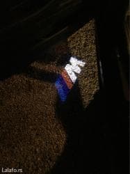 teretne gume 13 c: Bmw m power - led logo projektor za vrata - komplet od 2 komada — 5
