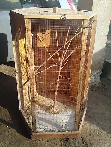 Oprema za kućne ljubimce: Kavez za ptice 100×70 — 2