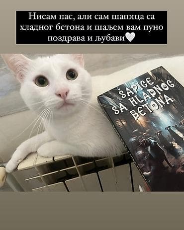 veliki sat: Knjiga: Šapice sa hladnog betona – Tina Horvat - Žanr: savremena — 7