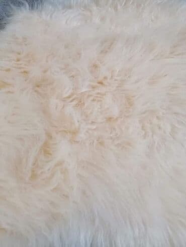 beli tepisi: Tepih, Pravougaoni — 6