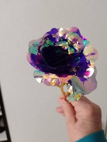 Irizirajuća dekorativna ruža – svetlucava „večna“ ruža - Materijal na lalafo.rs — 5 Irizirajuća dekorativna ruža – svetlucava „večna“ ruža - Materijal — 5