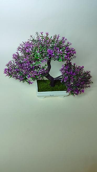 Kućni dekor: Dekorativno bonsai drvo u saksiji - Realistična bonsai kompozicija sa — 3