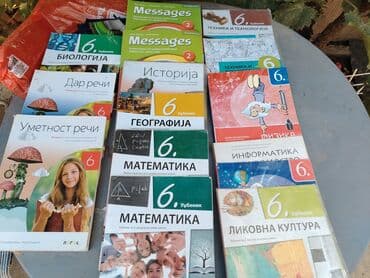 Udžbenici: Kompletan set udžbenika za šesti razred osnovne škole, pokrivajući