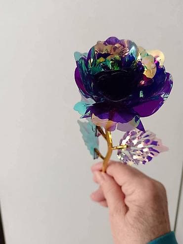 Irizirajuća dekorativna ruža – svetlucava „večna“ ruža - Materijal na lalafo.rs — 3 Irizirajuća dekorativna ruža – svetlucava „večna“ ruža - Materijal — 3