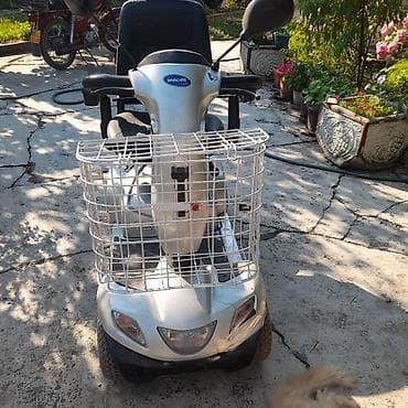 lisca steznici cena: Invacare Orion – električni skuter za osobe sa smanjenom — 3