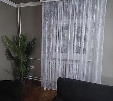 Houseplants: Novi model sahara prelepa zavesa Akcija zavese sahara 1000din po metru — 6