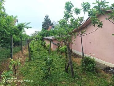 dobos kuce golubinci: 18 sq. m, 2 bedroom — 13