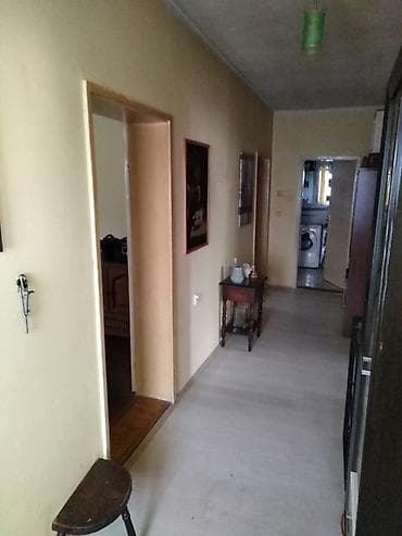 kreveci za bebe 3 u 1: Renovirana kuća 120 m2 na 14 ara sa zasadom paulonije - Turija kuća u — 3