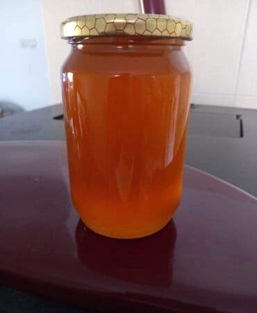 med na veliko: Domaci med suncokret 1100 din — 1