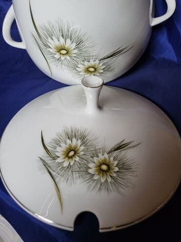 Činije: Corbaluk nov Arzberg porcelan nemacki 70te. Perfektan corbaluk,sve — 12