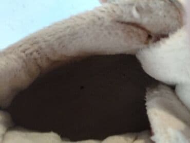 haljine za plazu 2023: 39, bоја - Šareno — 4