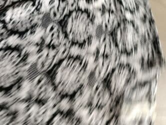 Trenerke: Majica xl — 3