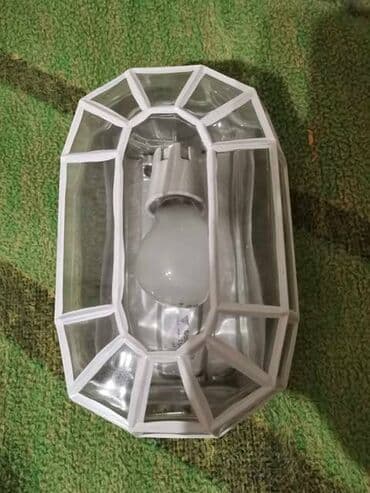 rife generator cena: Wall lamp — 2