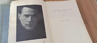 pica pleh: Izdanja: „Izabrana dela“ – Biblioteka stranih pisaca.Nema 6 — 3