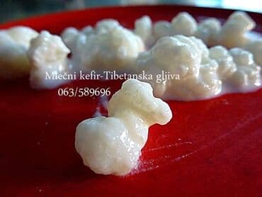 resetke za odvod vode: Vodeni kefir – zrnca za pripremu osvežavajućeg probiotičkog napitka — 2