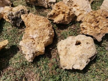 Baštenska dekoracija: Novo
