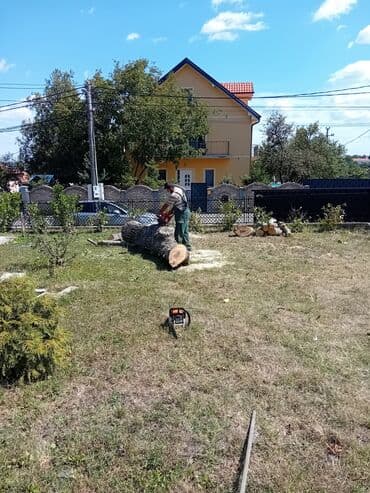 popravka drvenih prozora beograd: U ponudi su profesionalne hortikulturne usluge koje uključuju košenje — 3