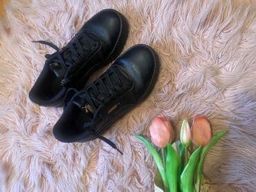 patike n: Puma kozne patike original novo 3500 din plus poklon gratis — 3