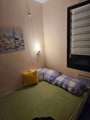 Apartments: 1 bedroom — 11