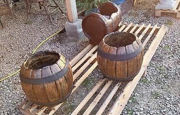 Semena i sadnice: Žardinjere — 1