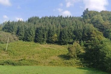 kuce obrenovac: 80 kv. m, 4 sobe — 6