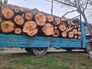 Ostali proizvodi za kuću: Ogrevno drvo – tvrda listopadna stabla u oblovini i krupno cepanim — 4