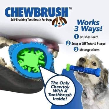 Koska za vase ljubimce Pored toga sto je odlicna zamena za vasu obucu