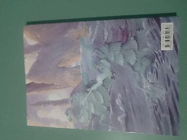 gitare beograd: Knjiga: Kroz večnost tebi Autor: Jovan Radmanović - Žanr — 2