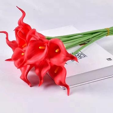 Ureznice: Vestacke kale
10kom- 1400 din — 3