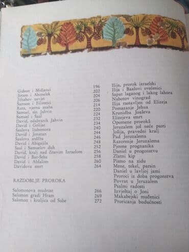 Knjige, audio i video formati: Biblija za mlade u slikama. Odlična, kao nova — 2
