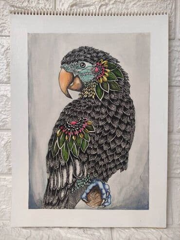 Paintings & Picture frames: Drawing — 1