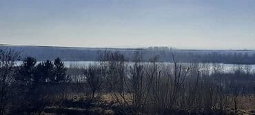 Nekretnine: 52 ares, Vlasnik — 13