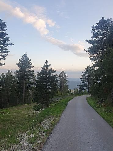 izdavanje soba ruma: Na prodaju plac 11.3 ari na Zlatiboru pored asfaltnog puta udaljenosti — 9