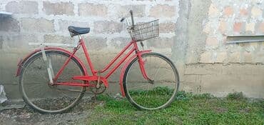 ski pantalone za devojcice: Bicycles for adults — 1