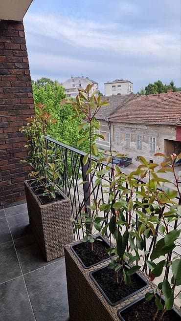 stanovi za izdavanje pozarevac: Izdajem stan u Pančevu Garsonjera Dimitrija Tucovića 48 37 kvadrata — 7