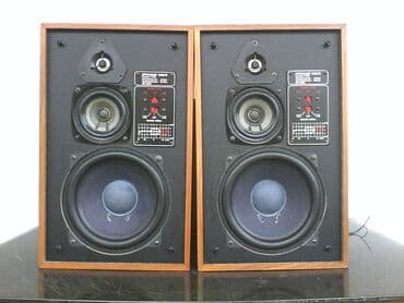 mali ventilator: Phonocord 4060b; 8 inca,4-8oma,60/100w, furnirane; teske; sve potpuno — 3