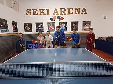 elvis sa prevodom: Želiš maksimalan napredak u najkraćem roku? Fokusiran rad bez deljenja — 4