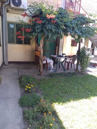 stan na izdavanje beograd: 400 sq. m, 5 bedroom — 24