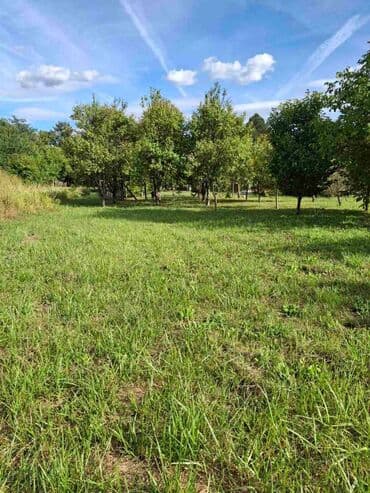 Prodaja zemljišta: Prodajem plac u Krnjaci Vlasnik, gradjevinsko zemljste Velicina placa