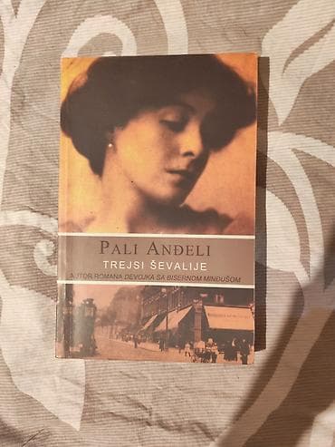 nodi likovi: Knjiga: Pali anđeli Autor: Trejsi Ševalije (autor romana Devojka sa — 1