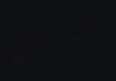 auto prikolice prodaja: GTI amblem – Full Black - Crna visokosjajna završna obrada (full — 3