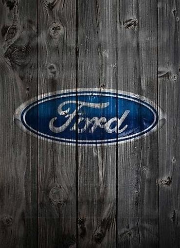 van automobili: BRAVE ZA VRATA ZA FORD TRANSIT CONNECT OD 2002. DO 2005. GOD. | FORD — 10