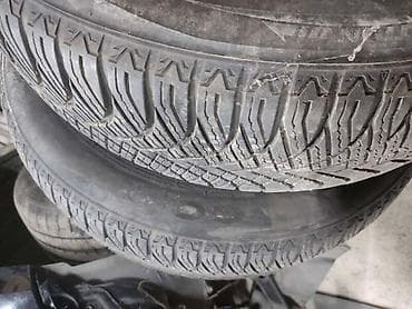 Auto delovi, gume i tjuning: GOODRIDE 205/55 R16 ZIMSKA | 2 gume na prodaju sara od 5 do 6mm — 1